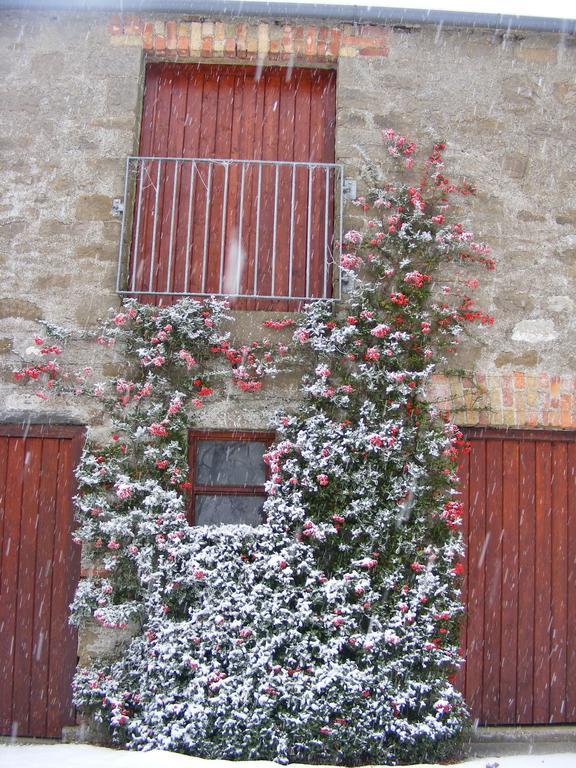 Ballyhargan Farm House Dungiven ภายนอก รูปภาพ