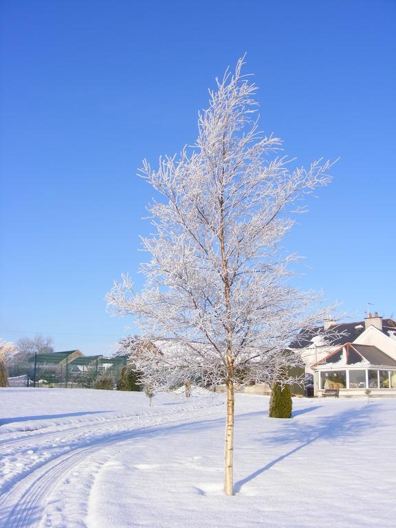 Ballyhargan Farm House Dungiven ภายนอก รูปภาพ