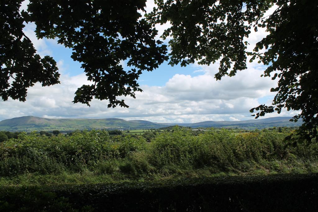 Ballyhargan Farm House Dungiven ภายนอก รูปภาพ