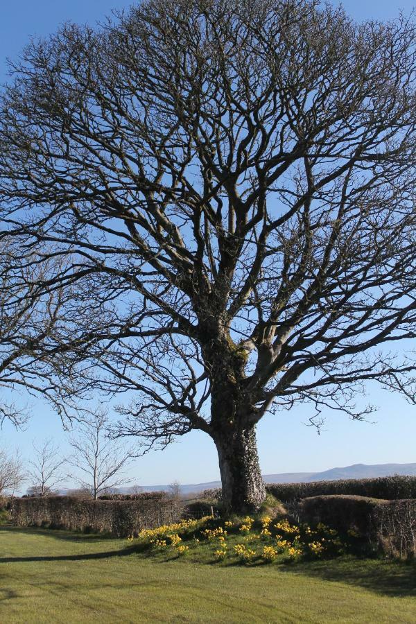 Ballyhargan Farm House Dungiven ภายนอก รูปภาพ